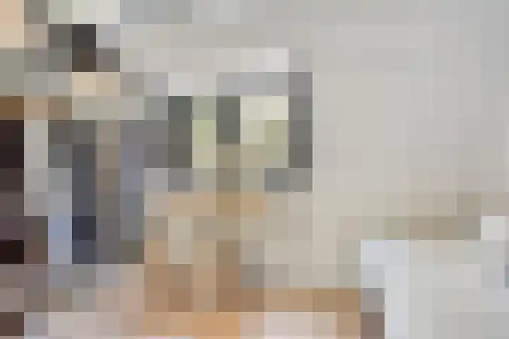 Patrijsstraat 9 Eindhoven thumbnail 20