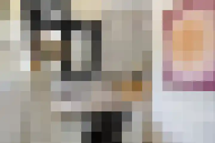 Patrijsstraat 9 Eindhoven thumbnail 21