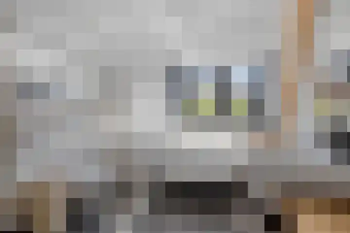 Patrijsstraat 9 Eindhoven thumbnail 22