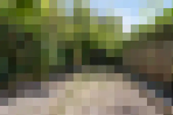 Patrijsstraat 9 Eindhoven thumbnail 25