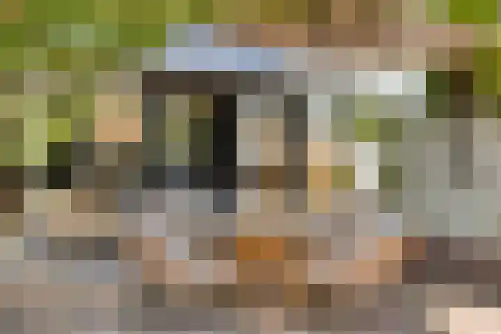 Patrijsstraat 9 Eindhoven thumbnail 4