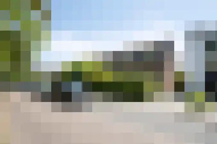 Patrijsstraat 9 Eindhoven thumbnail 5