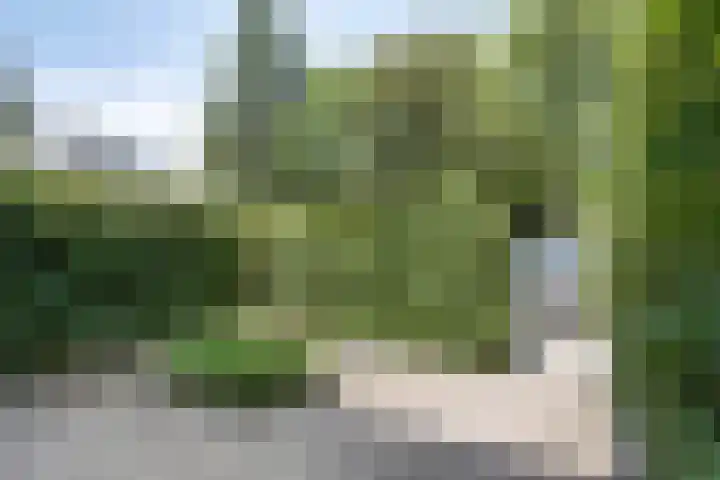 Patrijsstraat 9 Eindhoven thumbnail 6