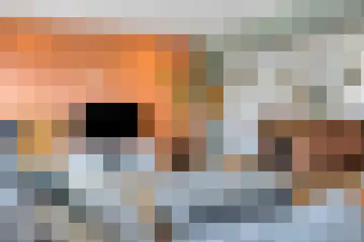 Patrijsweg 10 Epe thumbnail 13