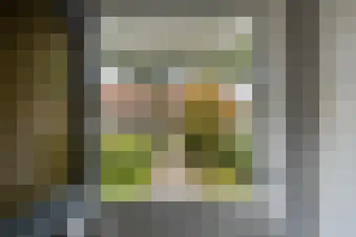 Patrijsweg 10 Epe thumbnail 16