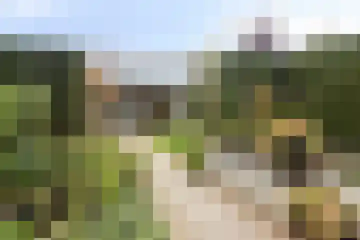 Patrijsweg 10 Epe thumbnail 27