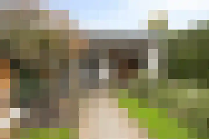 Patrijsweg 10 Epe thumbnail 28