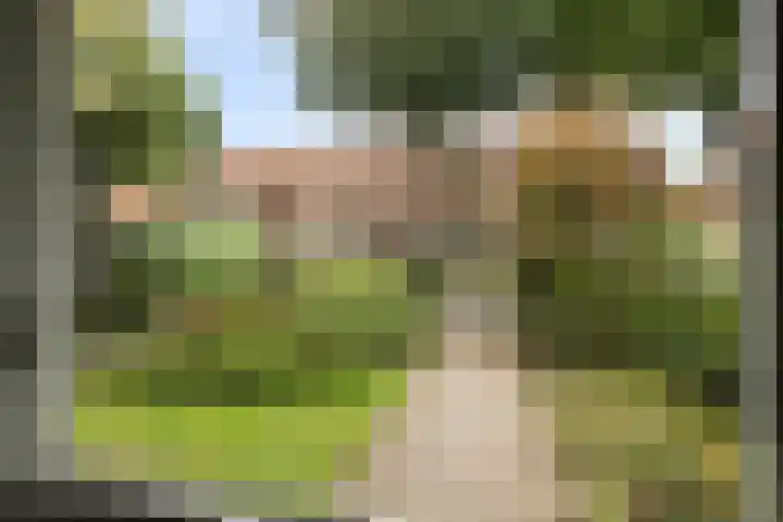 Patrijsweg 10 Epe thumbnail 36