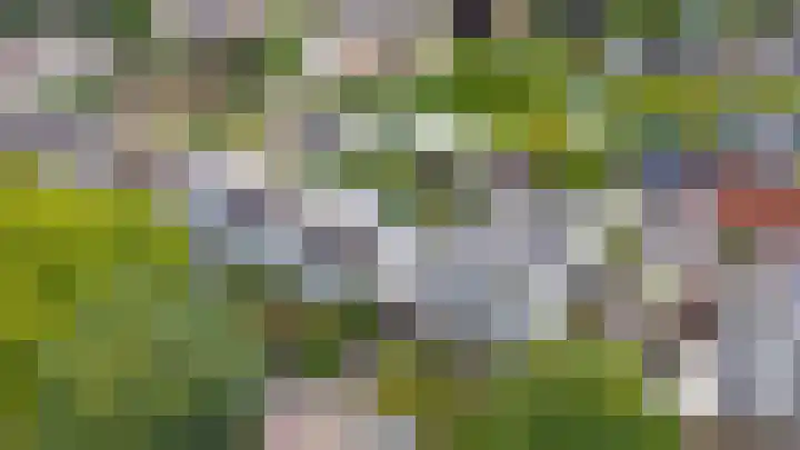Patrijsweg 10 Epe thumbnail 37