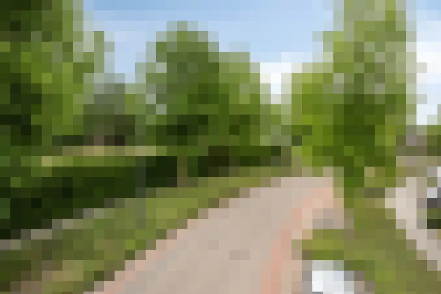 Patrijsweg 2 Uden thumbnail 13