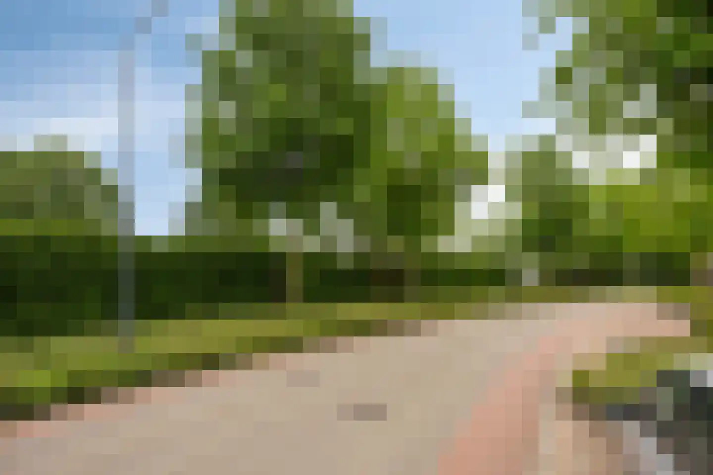 Patrijsweg 2 Uden thumbnail 14