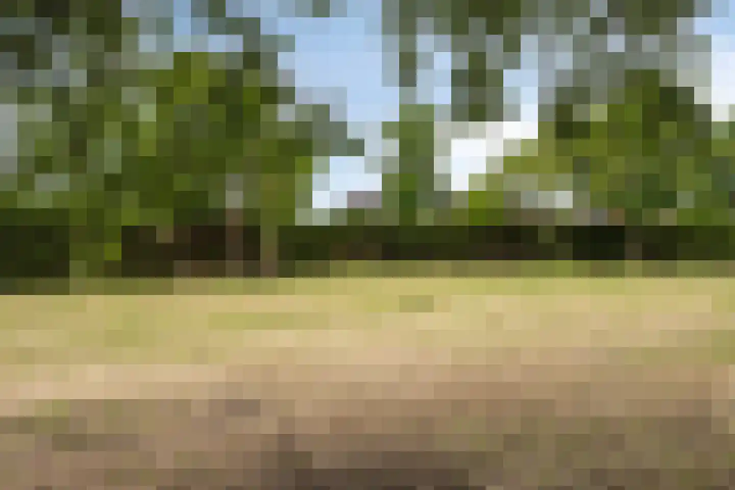 Patrijsweg 2 Uden thumbnail 5