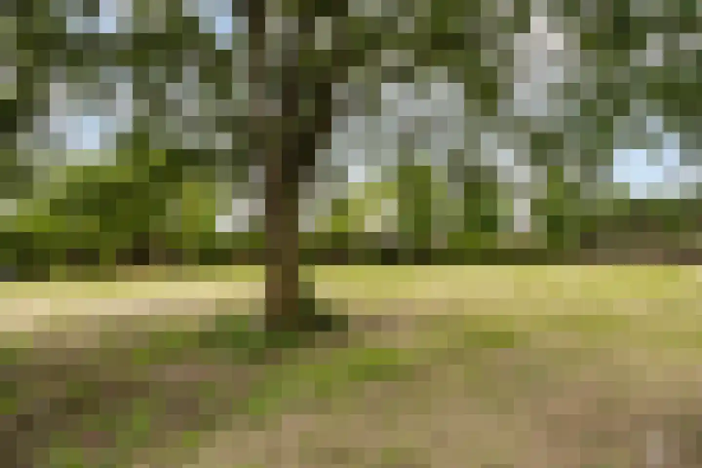 Patrijsweg 2 Uden thumbnail 6