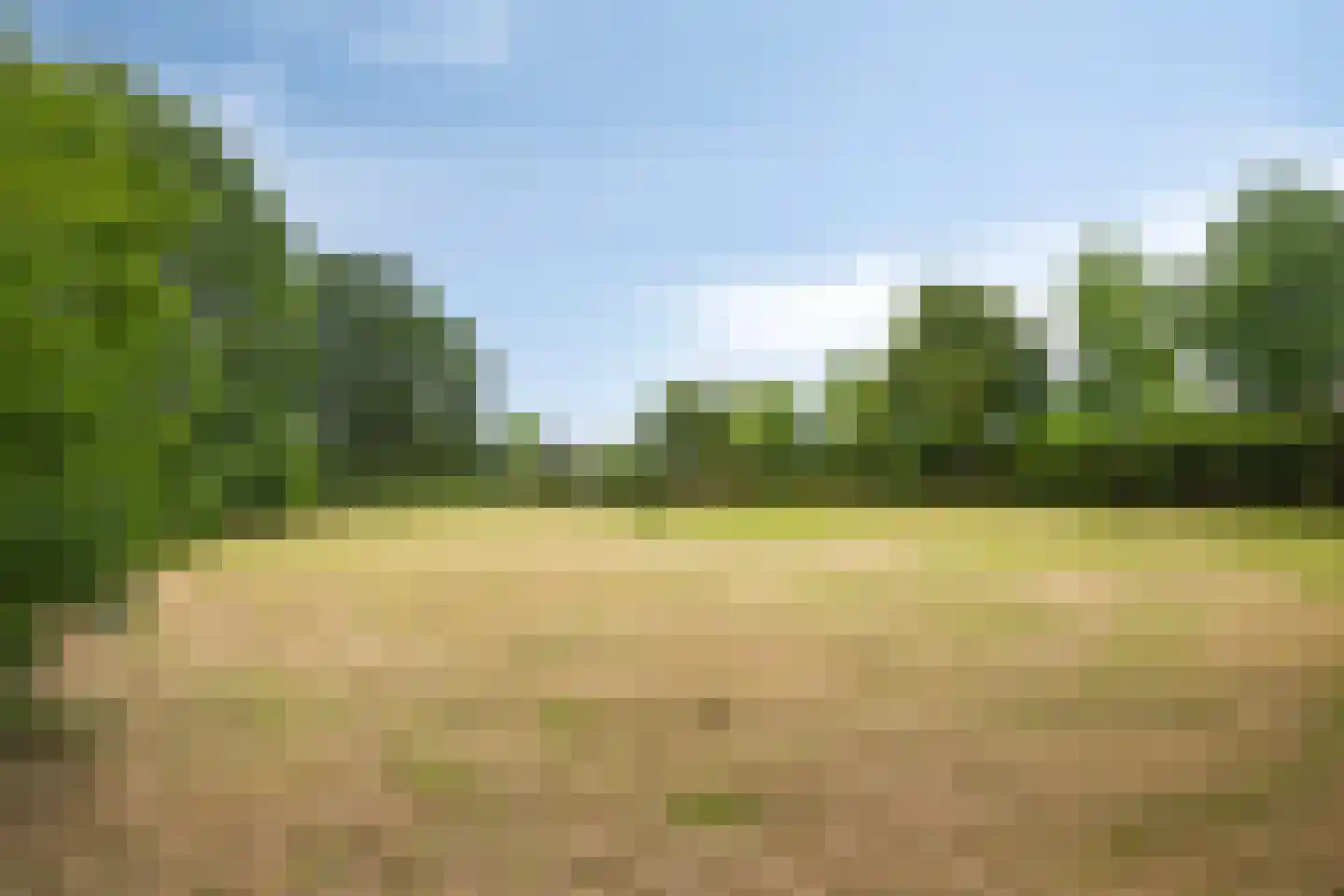 Patrijsweg 2 Uden thumbnail 7