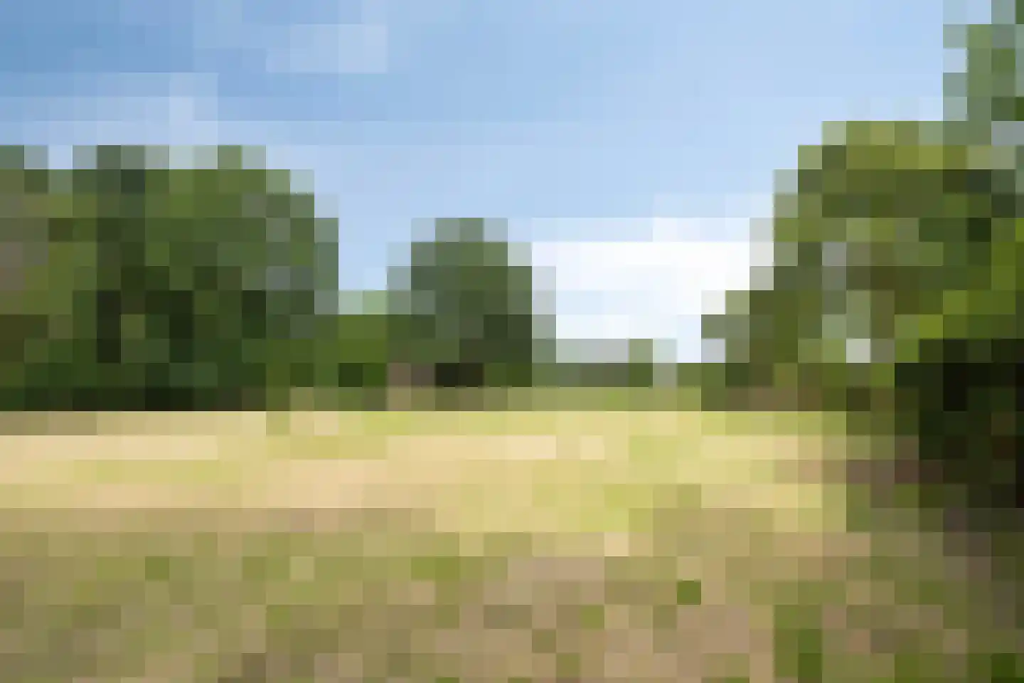 Patrijsweg 2 Uden thumbnail 9