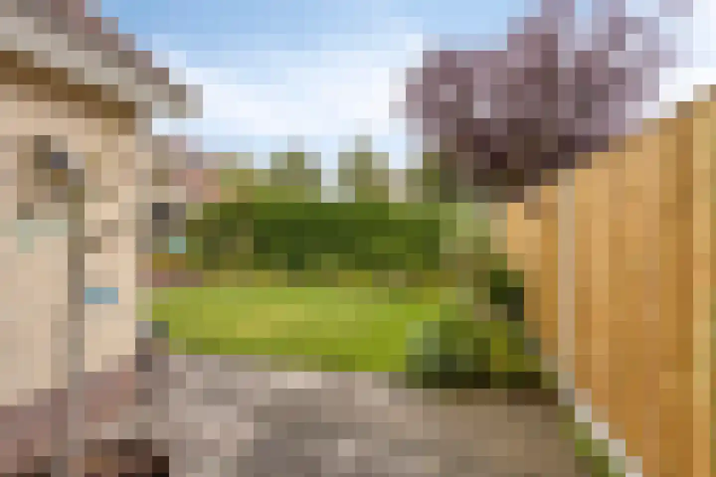 Patrijsweg 25 Havelte thumbnail 28