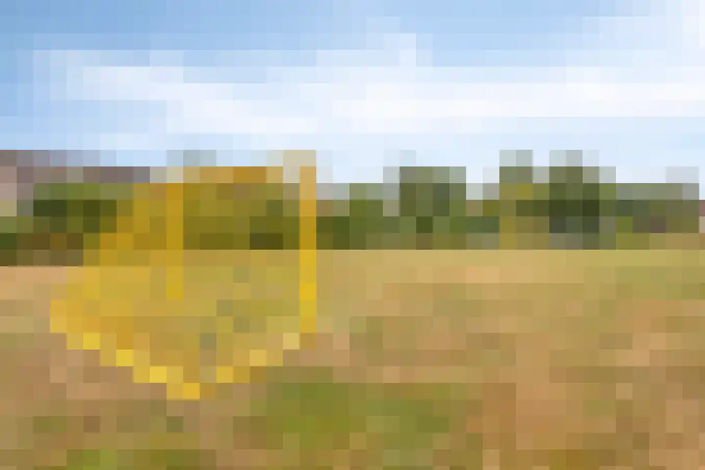 Patrijsweg 25 Havelte thumbnail 32