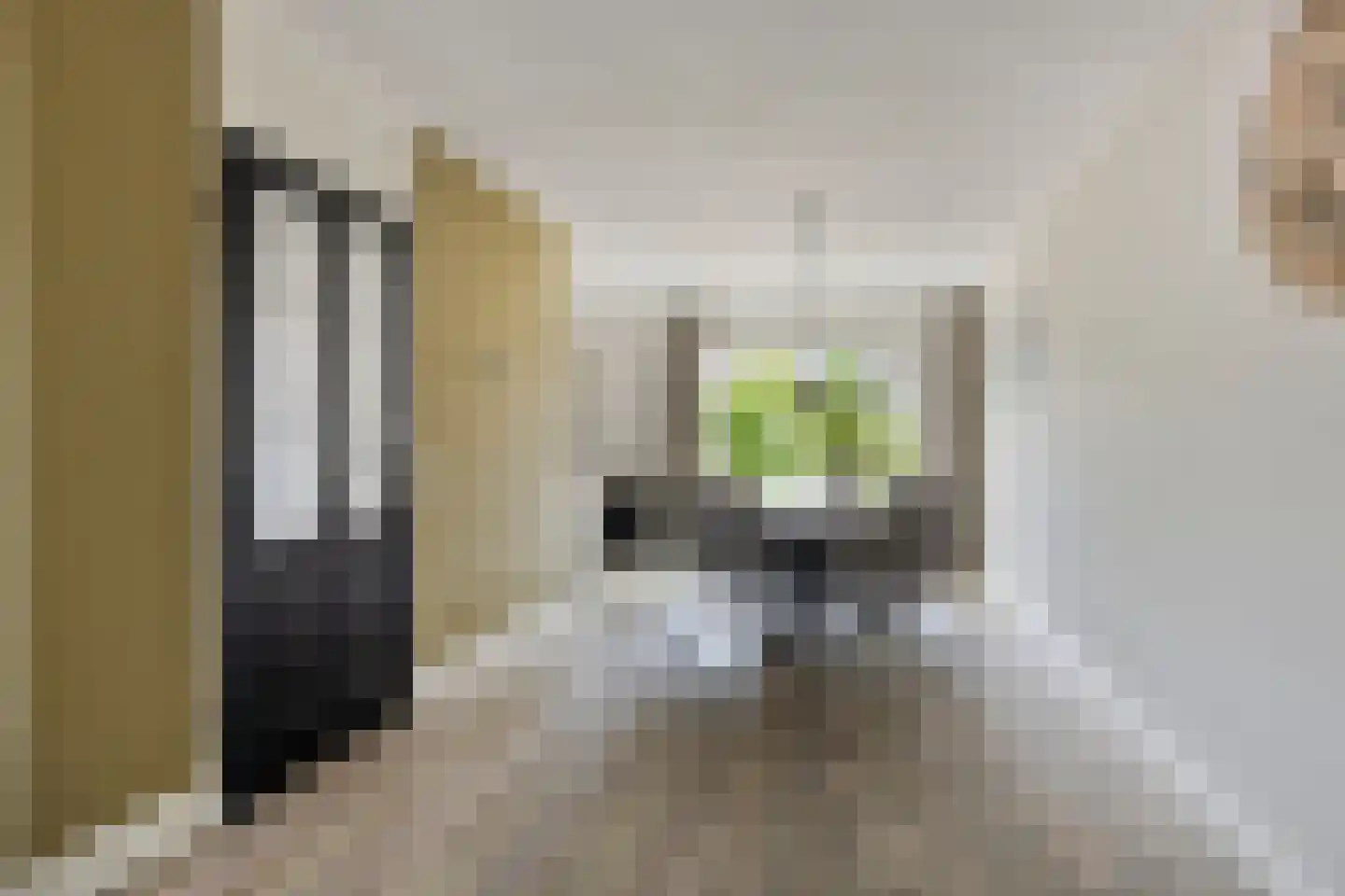 Patrijsweg 25 Havelte thumbnail 4