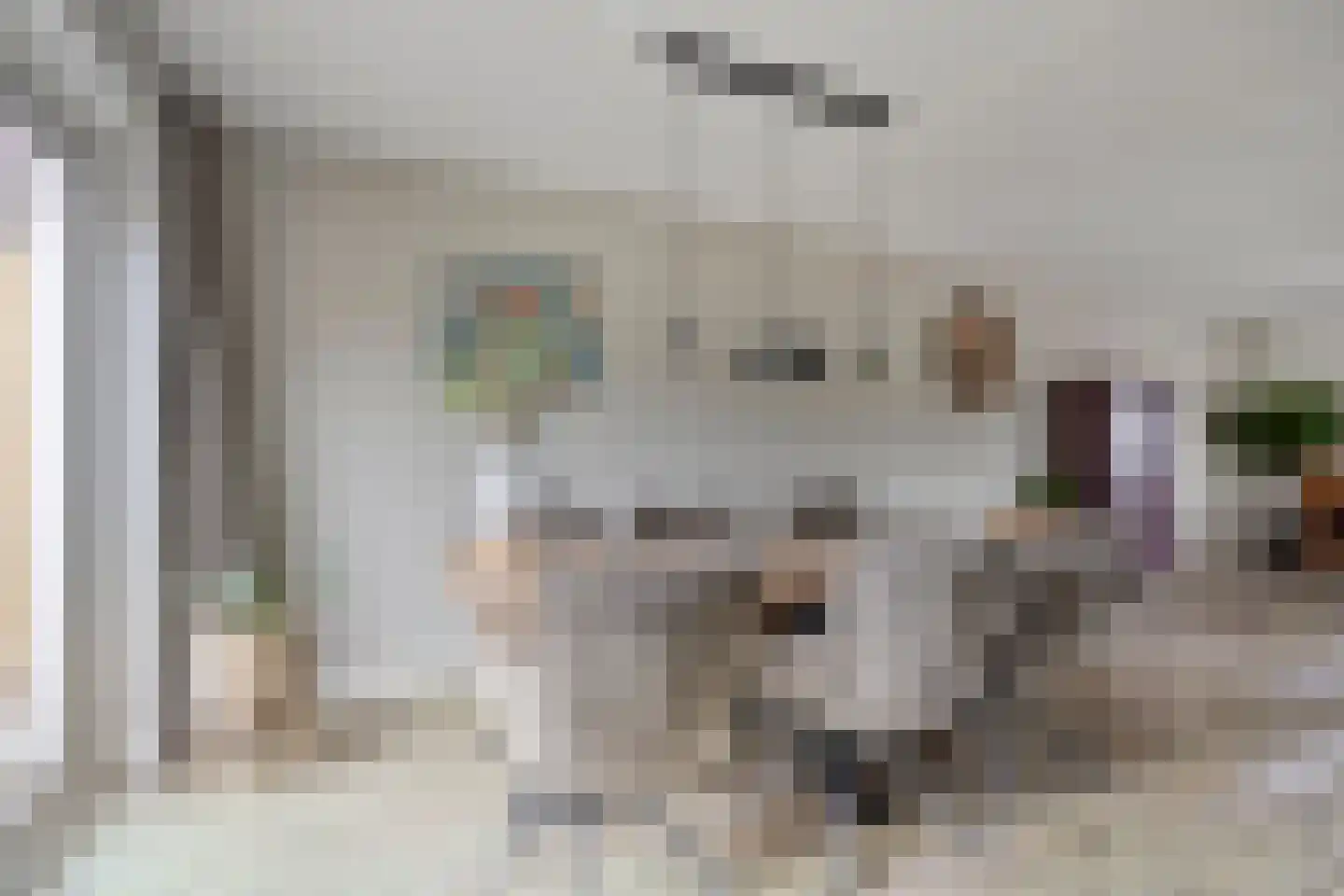 Patrijsweg 25 Havelte thumbnail 5