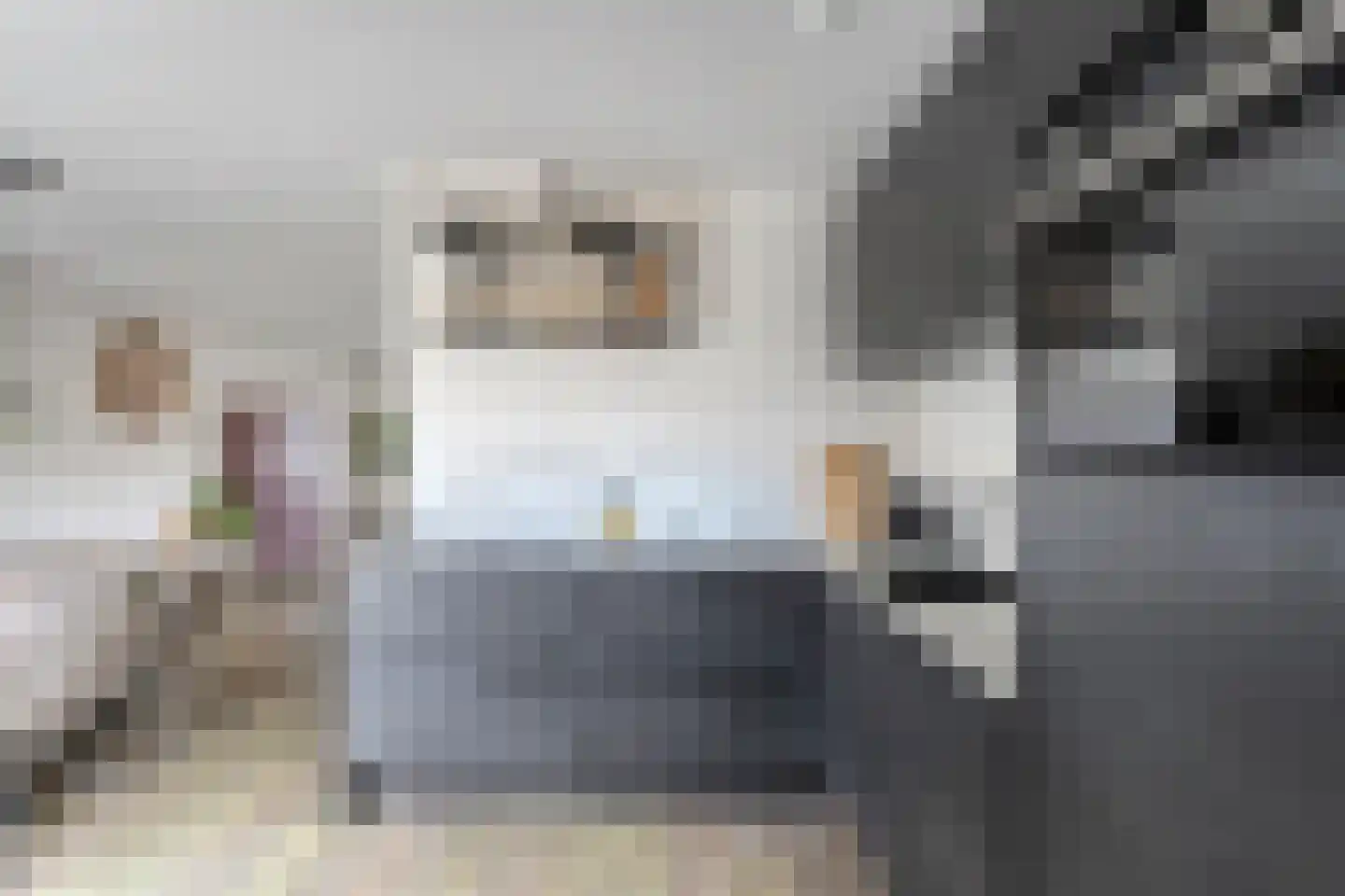 Patrijsweg 25 Havelte thumbnail 7