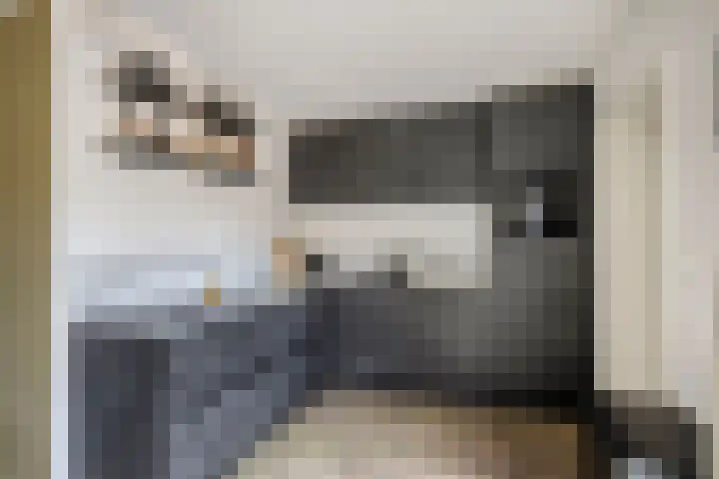 Patrijsweg 25 Havelte thumbnail 8