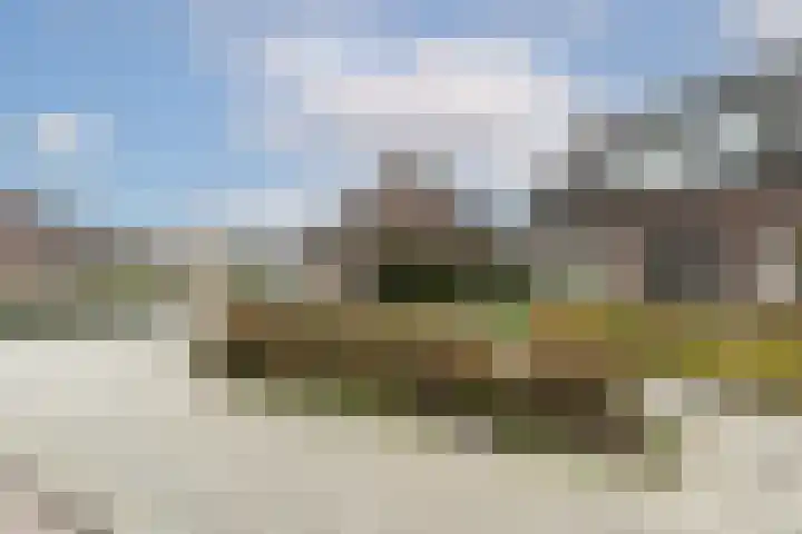 Patrijsweg 28 Apeldoorn thumbnail 14