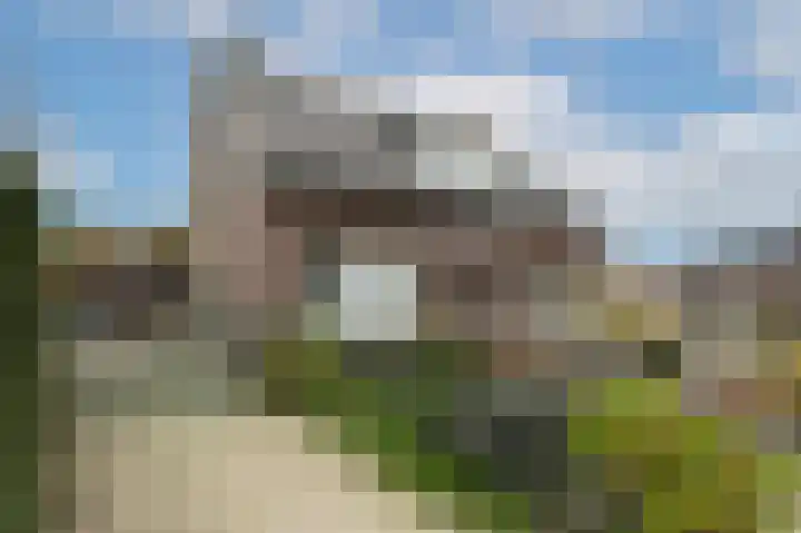 Patrijsweg 28 Apeldoorn thumbnail 5