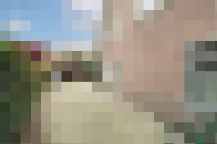 Patrijsweg 28 Apeldoorn thumbnail 7