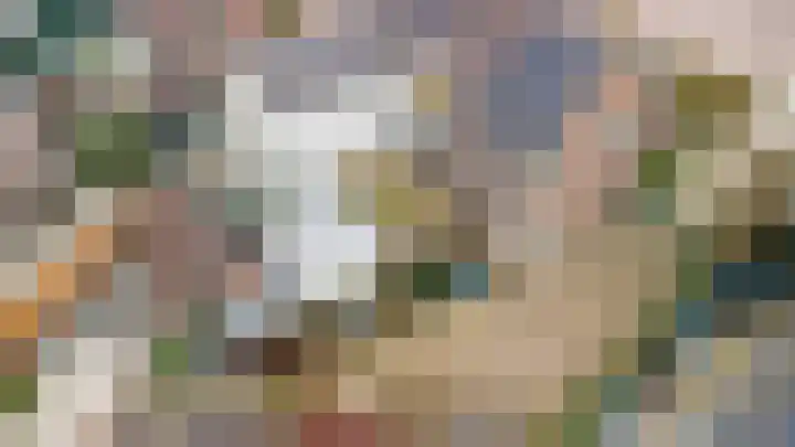 Patrijsweg 28 Apeldoorn thumbnail 9