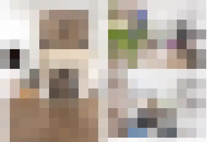 Patrijsweg 3 A Apeldoorn thumbnail 10