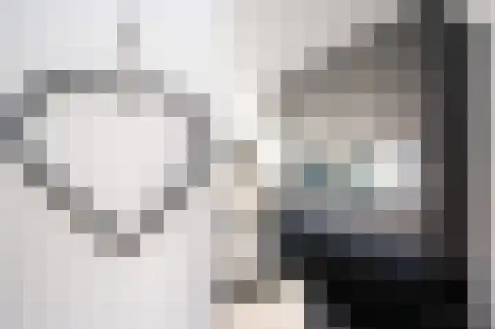 Patrijsweg 3 A Apeldoorn thumbnail 19