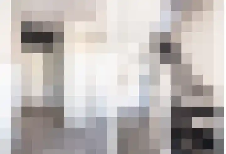 Patrijsweg 3 A Apeldoorn thumbnail 21