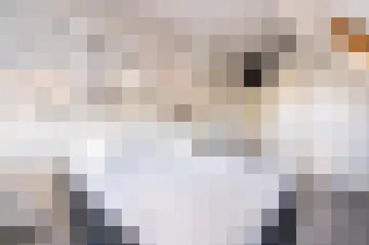 Patrijsweg 3 A Apeldoorn thumbnail 26