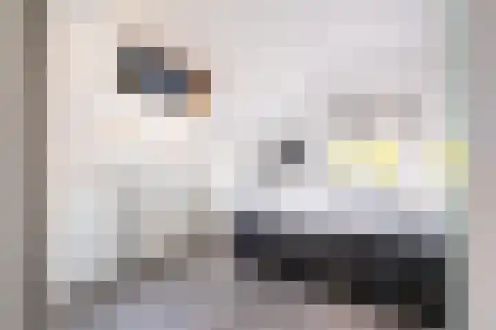 Patrijsweg 3 A Apeldoorn thumbnail 27