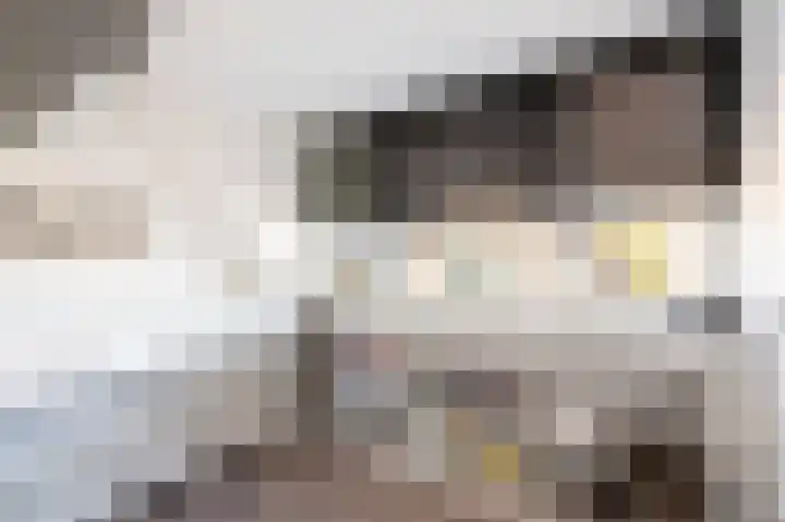 Patrijsweg 3 A Apeldoorn thumbnail 28