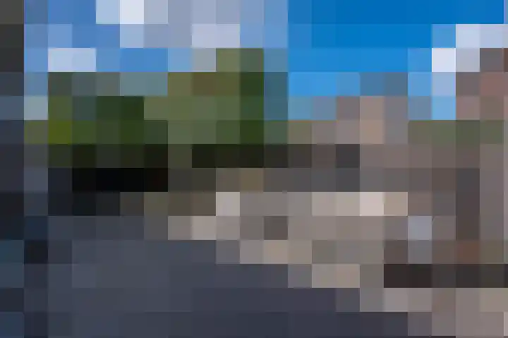 Patrijsweg 3 A Apeldoorn thumbnail 29