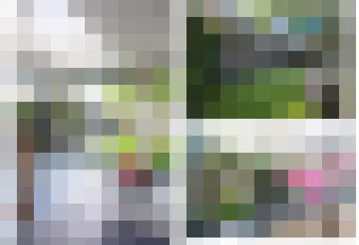 Patrijsweg 3 A Apeldoorn thumbnail 30