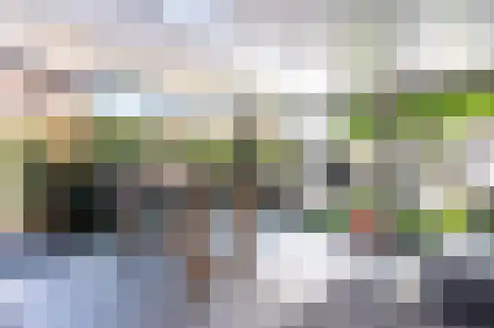 Patrijsweg 3 A Apeldoorn thumbnail 31