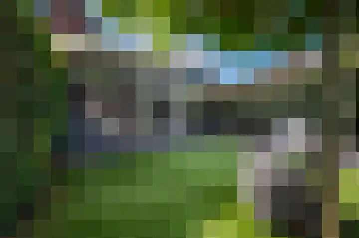 Patrijsweg 3 A Apeldoorn thumbnail 33