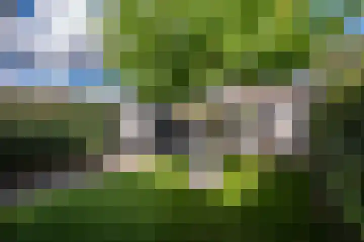 Patrijsweg 3 A Apeldoorn thumbnail 34