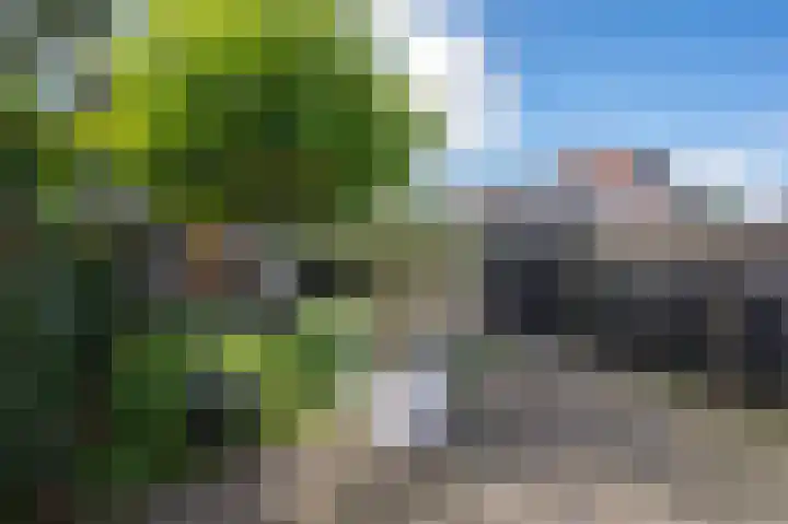 Patrijsweg 3 A Apeldoorn thumbnail 36