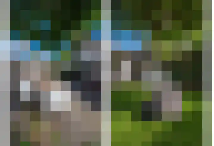 Patrijsweg 3 A Apeldoorn thumbnail 37