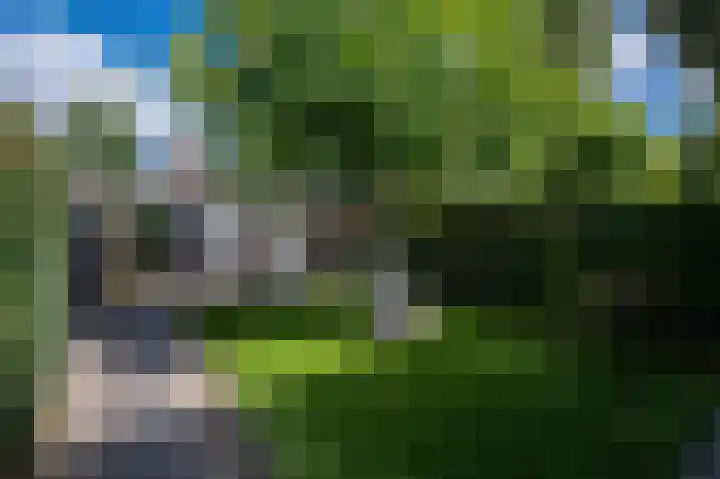 Patrijsweg 3 A Apeldoorn thumbnail 38