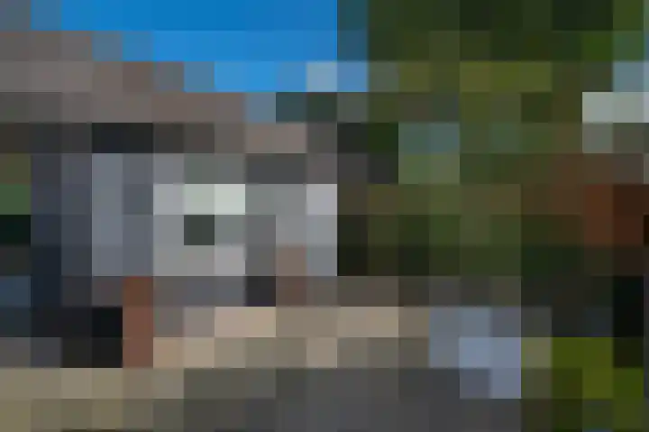 Patrijsweg 3 A Apeldoorn thumbnail 39