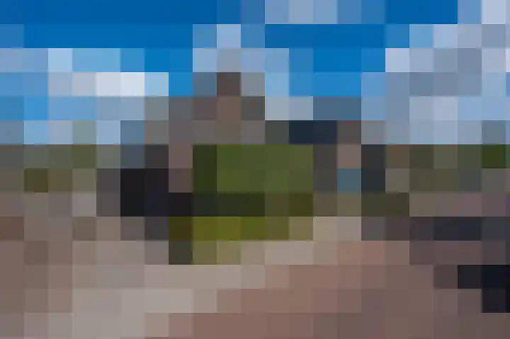 Patrijsweg 3 A Apeldoorn thumbnail 40
