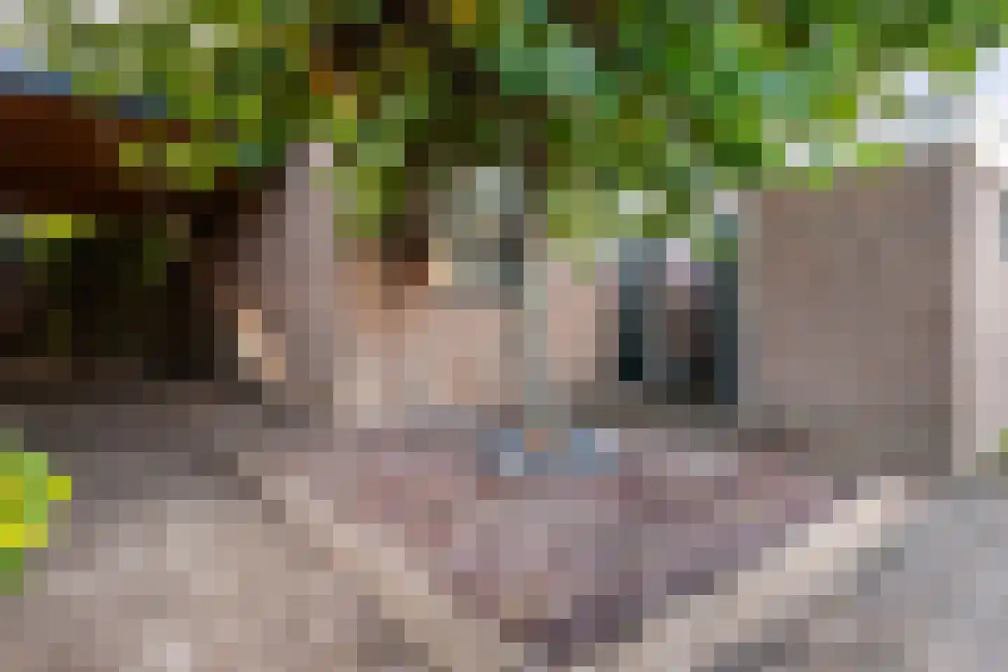 Patrijsweide 13 IJsselstein thumbnail 12