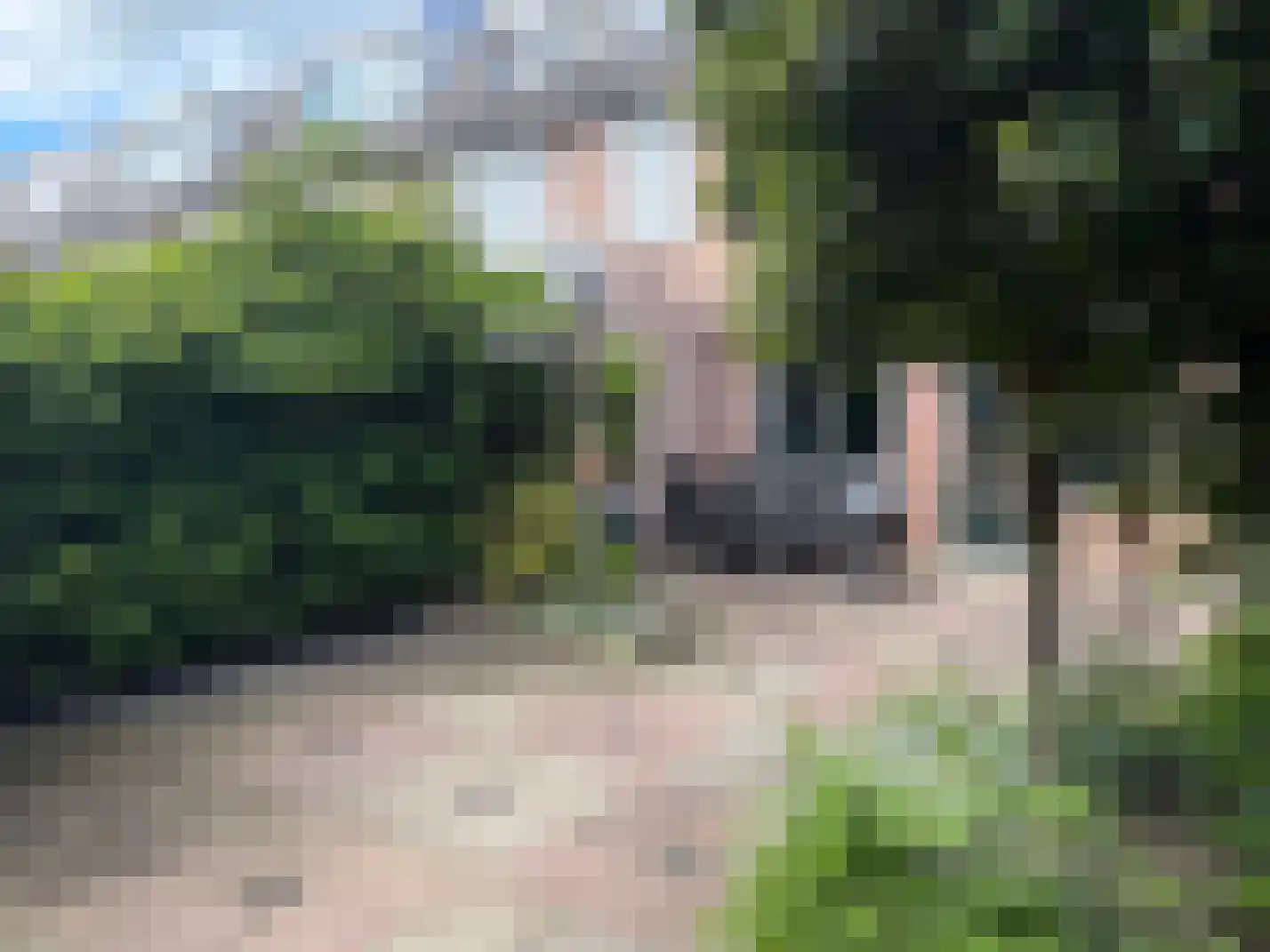 Patrijsweide 13 IJsselstein thumbnail 29