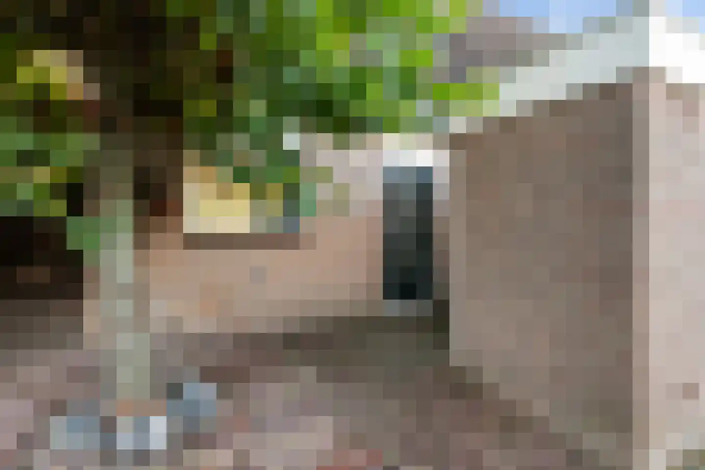 Patrijsweide 13 IJsselstein thumbnail 8