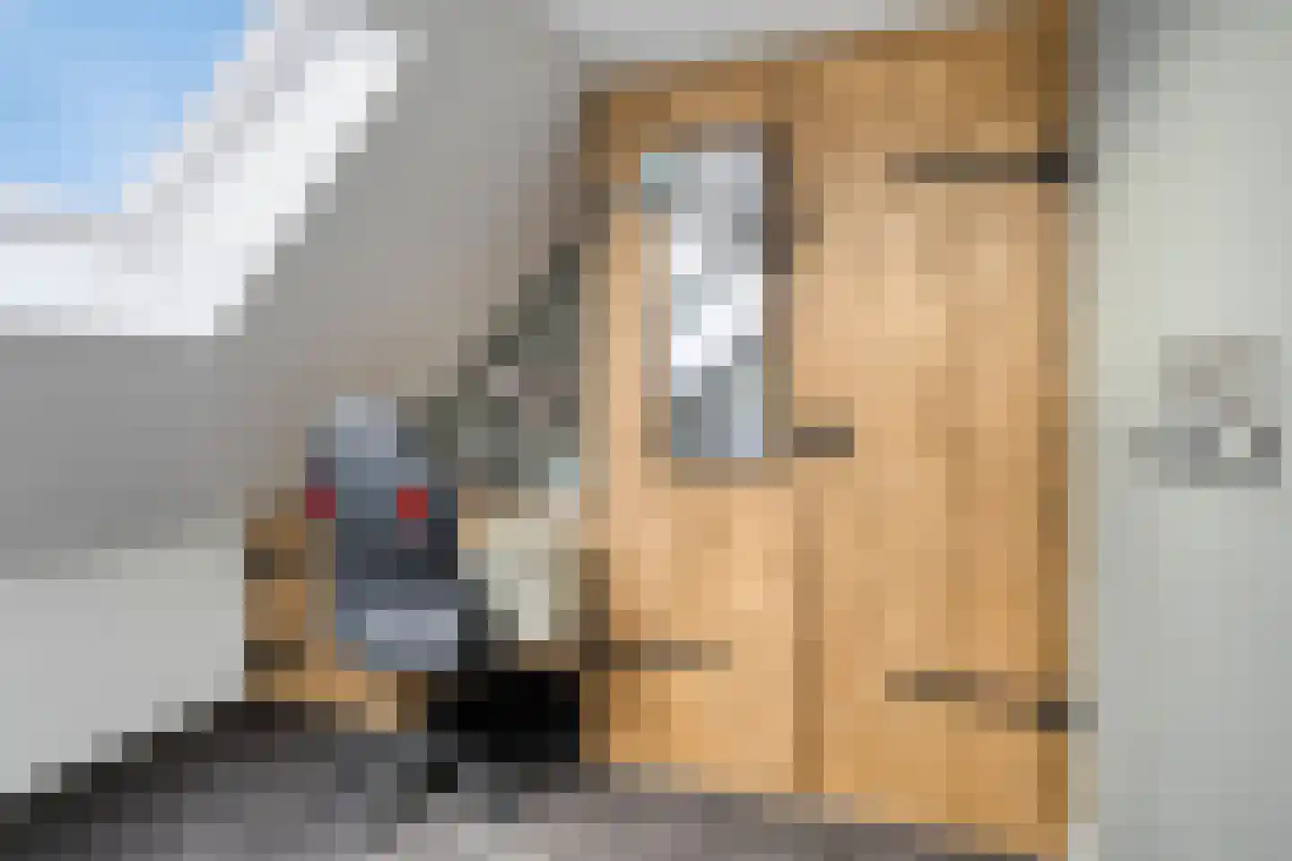 Patrijzenhof 13 Barneveld thumbnail 30