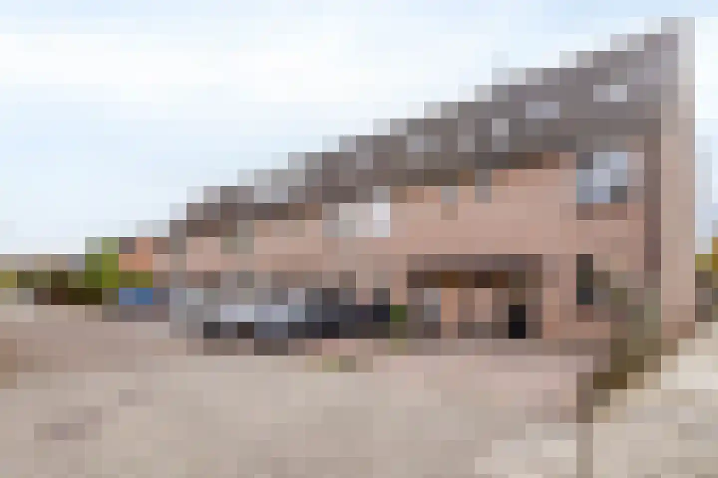 Patrijzenhof 13 Barneveld thumbnail 38
